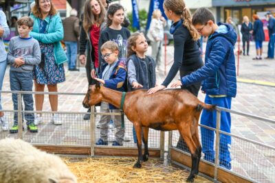 Agrandir l'image 37 sur 57, fenêtre modale