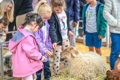 Agrandir l'image 43 sur 57, fenêtre modale