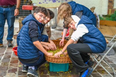 Agrandir l'image 46 sur 57, fenêtre modale