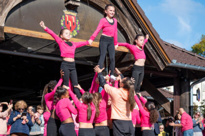 Agrandir l'image 32 sur 43, fenêtre modale