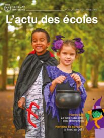 Agrandir l'image, fenêtre modale