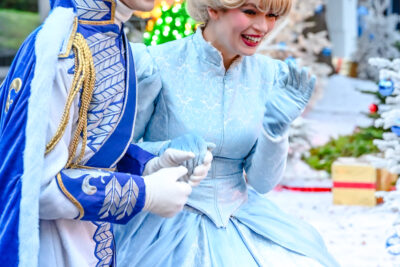 Agrandir l'image 16 sur 59, fenêtre modale