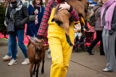 Agrandir l'image 36 sur 59, fenêtre modale