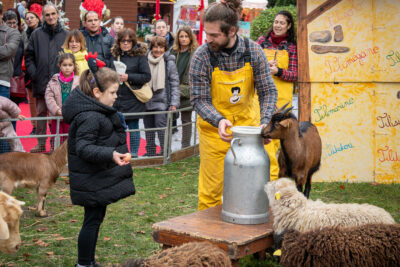 Agrandir l'image 35 sur 59, fenêtre modale