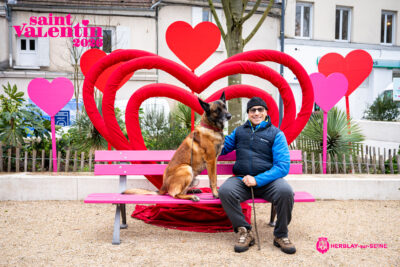 Agrandir l'image 44 sur 45, fenêtre modale