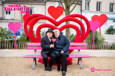 Agrandir l'image 1 sur 45, fenêtre modale