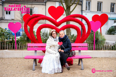 Agrandir l'image 10 sur 45, fenêtre modale