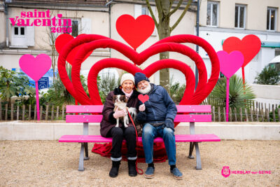 Agrandir l'image 11 sur 45, fenêtre modale