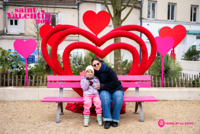 Agrandir l'image 16 sur 45, fenêtre modale