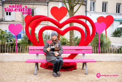 Agrandir l'image 26 sur 45, fenêtre modale