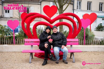 Agrandir l'image 31 sur 45, fenêtre modale